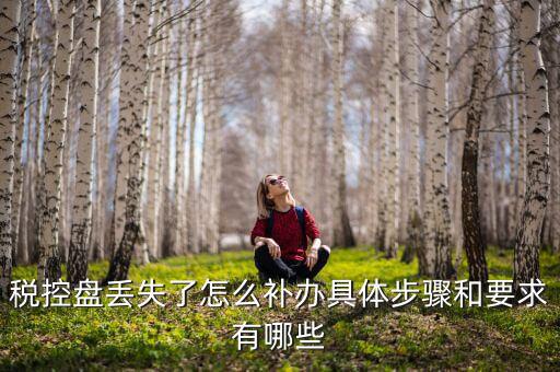 稅控盤(pán)丟失為什么要報(bào)案嗎，稅控盤(pán)丟失怎么處理