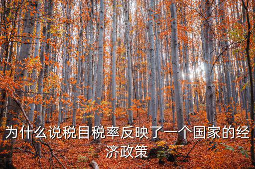 為什么要規(guī)定稅目，稅目是什么意思