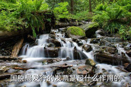 國(guó)家稅務(wù)局發(fā)票有什么用，發(fā)票有哪些作用呢