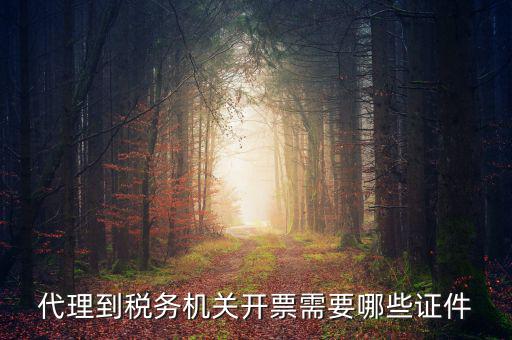 代理到稅務機關開票需要哪些證件