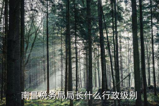 稅務(wù)局局長(zhǎng)是什么級(jí)別，金河鎮(zhèn)稅務(wù)務(wù)局局長(zhǎng)是什么級(jí)別