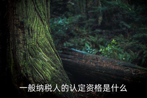 一般納稅人資格證是什么，請(qǐng)問(wèn)一般納稅人應(yīng)有什么證