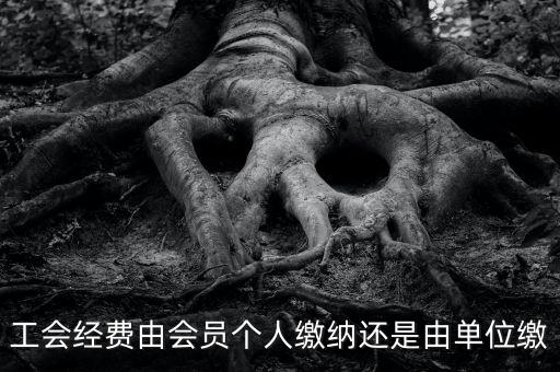 工會(huì)經(jīng)費(fèi)由會(huì)員個(gè)人繳納還是由單位繳