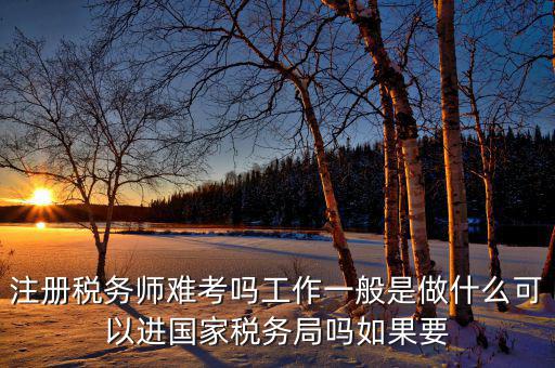 稅務(wù)師是什么，注冊稅務(wù)師能干什么待遇怎么樣
