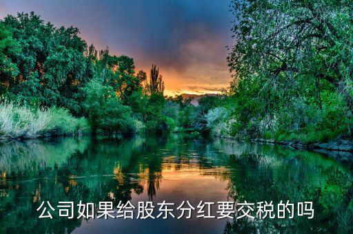 企業(yè)分紅要交什么稅，公司如果給股東分紅要交稅的嗎