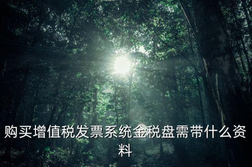 購(gòu)買金稅盤要什么資料，購(gòu)買增值稅發(fā)票系統(tǒng)金稅盤需帶什么資料