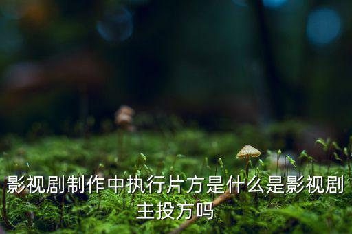什么是分立主導(dǎo)方，股權(quán)分立是什么意思