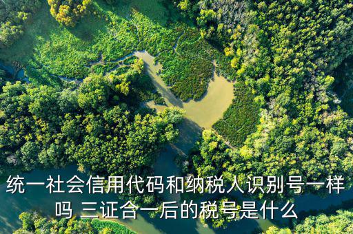 無證合一后稅號是什么意思，五證合一之后怎么查看稅號