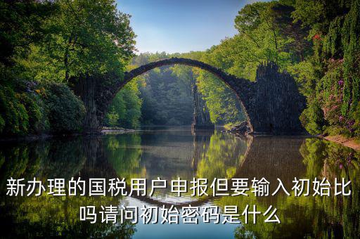 新辦理的國稅用戶申報(bào)但要輸入初始比嗎請問初始密碼是什么