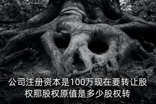 股權(quán)原值是什么意思，公司注冊(cè)資本是100萬(wàn)現(xiàn)在要轉(zhuǎn)讓股權(quán)那股權(quán)原值是多少股權(quán)轉(zhuǎn)