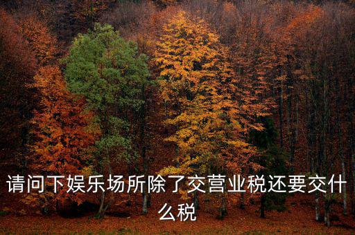 娛樂業(yè)交什么稅，請(qǐng)問下娛樂場所除了交營業(yè)稅還要交什么稅