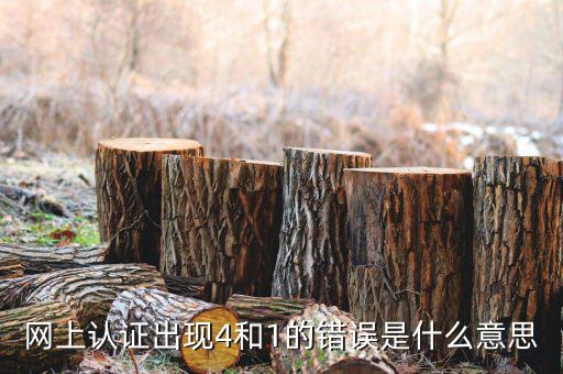 認證發(fā)票4是什么問題，認證發(fā)票通常會碰到哪些問題