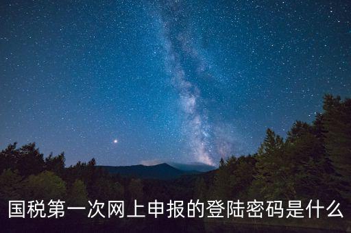 國稅登錄賬號密碼是什么意思，國稅第一次網(wǎng)上申報的登陸密碼是什么