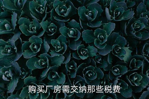 個(gè)人買(mǎi)廠房交什么稅，請(qǐng)問(wèn)在重慶購(gòu)買(mǎi)一手廠房需要交納那些稅費(fèi)具體稅率是多少注