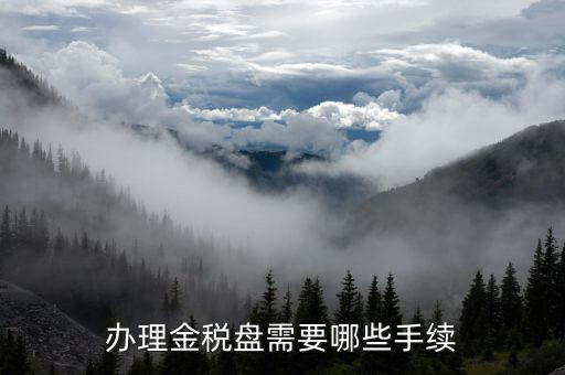 辦理金稅盤(pán)需要哪些手續(xù)