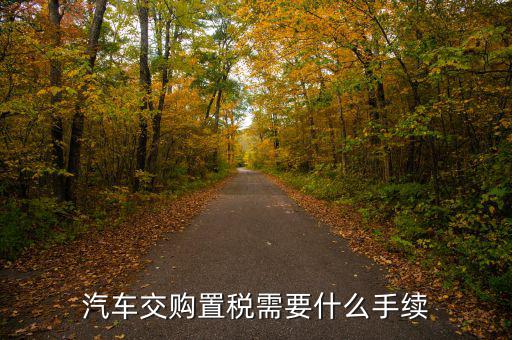 汽車購(gòu)置稅要什么手續(xù)，購(gòu)買車輛購(gòu)置稅需要哪些手續(xù)