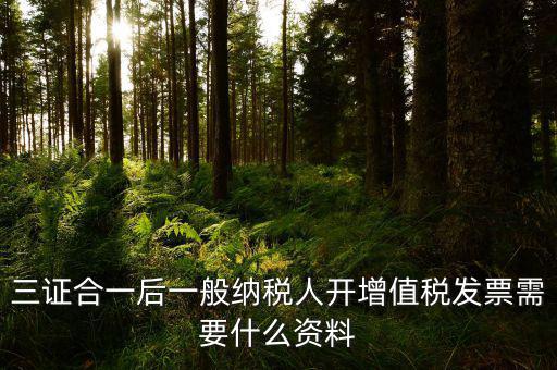 三證合一后刻發(fā)票章需要帶什么資料，三證合一后刻發(fā)票章需要提供什么資料