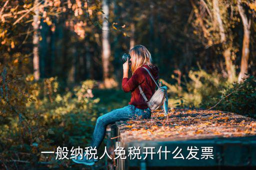 一般納稅人領(lǐng)什么票，一般納稅人免稅開什么發(fā)票