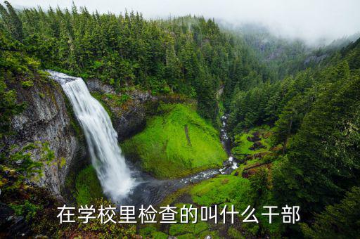 學?；椴渴鞘裁矗髮W督檢部是干什么