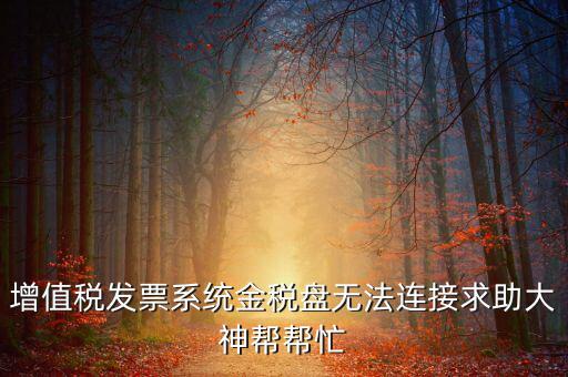 為什么金稅盤連接不上，金稅盤直接進(jìn)不去怎么回事啊