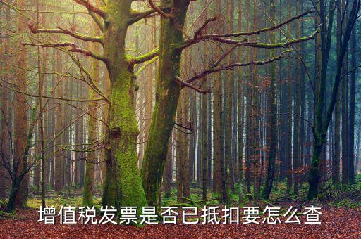 進項抵扣發(fā)票什么查，增值稅發(fā)票是否已抵扣要怎么查
