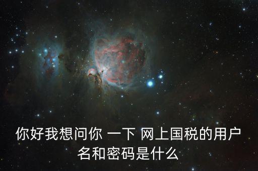 稅號和密碼是什么，國稅第一次網(wǎng)上申報的登陸密碼是什么