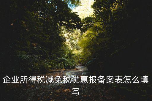 什么是稅收優(yōu)惠備案表，企業(yè)所得稅優(yōu)惠備案表填寫急