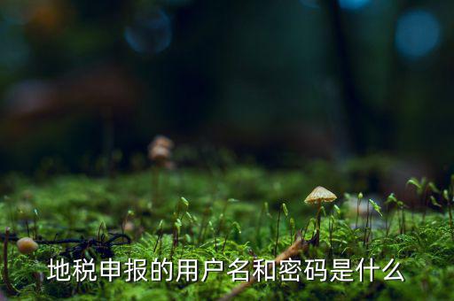 杭州地稅用戶名是什么意思，地稅的用戶名是什么