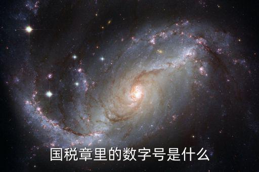 國稅章里的數(shù)字號(hào)是什么