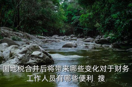 國地稅合并后將帶來哪些變化對(duì)于財(cái)務(wù)工作人員有哪些便利  搜