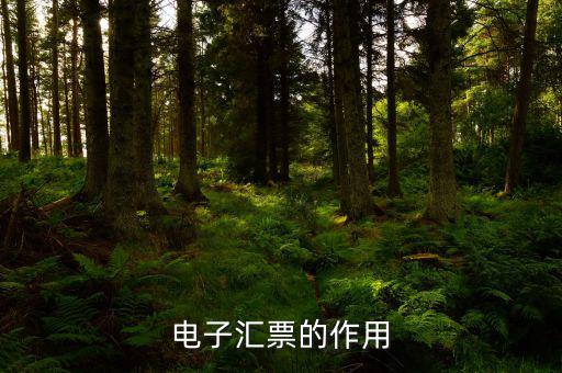 電子發(fā)票作用是什么，電子發(fā)票系統(tǒng)能做什么用
