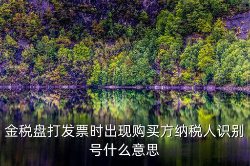 購貨方識(shí)別號(hào)是什么，開票方識(shí)別號(hào)是什么意思