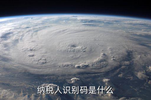 納銳人識別號是什么，納稅人識別碼是什么