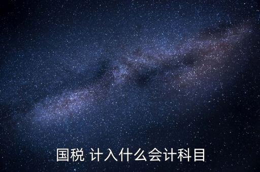 國(guó)稅申報(bào)記入什么科目，付國(guó)稅應(yīng)計(jì)入什么科目求解啊