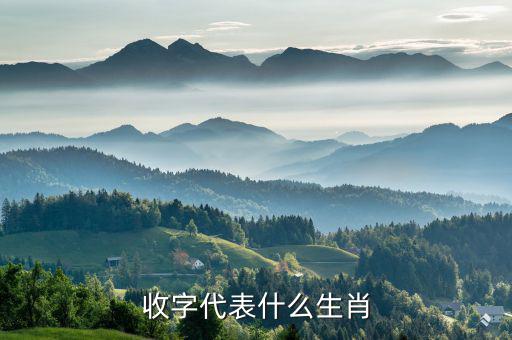 稅字代表什么生肖，十二生肖各代表什么字