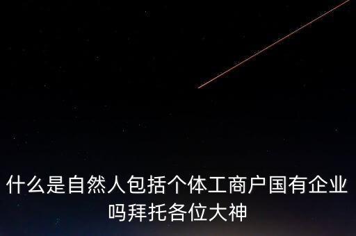 稅務(wù)上的自然人指的是什么，申請(qǐng)人為自然人的是什么意思