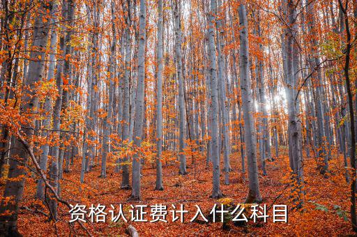認(rèn)證服務(wù)費(fèi)什么，申請微信公眾賬號認(rèn)證服務(wù)費(fèi)什么意思