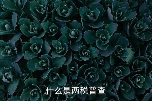 兩稅普查是什么意思，進(jìn)口兩稅是什么