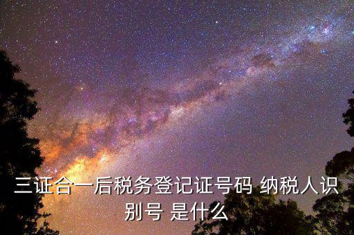 納稅人識別號 稅務(wù)代碼是什么意思，納稅人識別號是什么