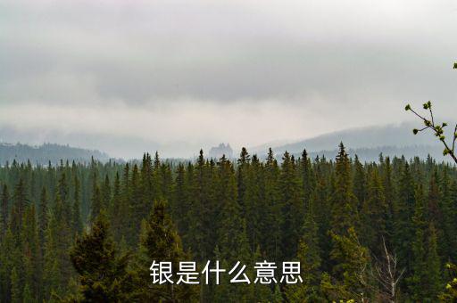 財稅庫銀是什么意思，銀是什么意思