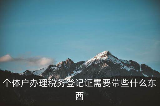個(gè)體稅務(wù)登記證需要什么材料，個(gè)體戶辦理稅務(wù)登記證需要帶些什么東西