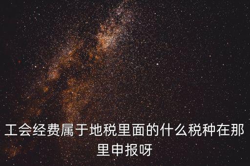 工會經費屬于地稅里面的什么稅種在那里申報呀