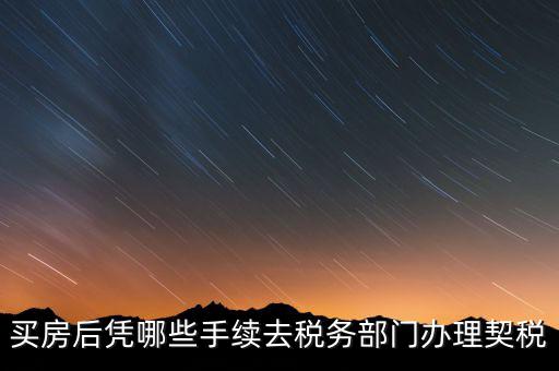 購房要在國稅辦什么，現(xiàn)在買房要辦些什么證件買房者與賣房者所交稅務(wù)有那些夠房者現(xiàn)