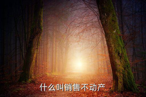 銷售不動產構筑物是什么，計算交納稅金時企業(yè)銷售房屋建筑物等不動產按照稅法的有關