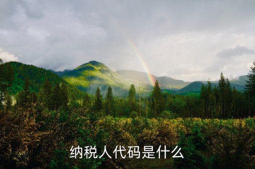 個人納稅人代碼是什么，納稅人代碼是什么