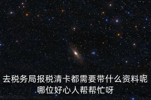 打稅務(wù)清單需要帶什么，我是個(gè)體商戶營業(yè)執(zhí)照掉了想去打印一份稅務(wù)清單需要帶些什么