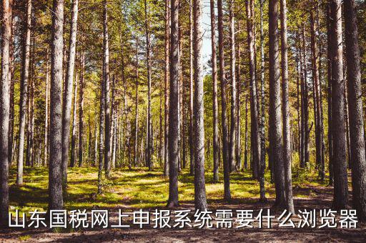 國(guó)稅網(wǎng)站用什么瀏覽器，山東國(guó)稅網(wǎng)上申報(bào)系統(tǒng)需要什么瀏覽器