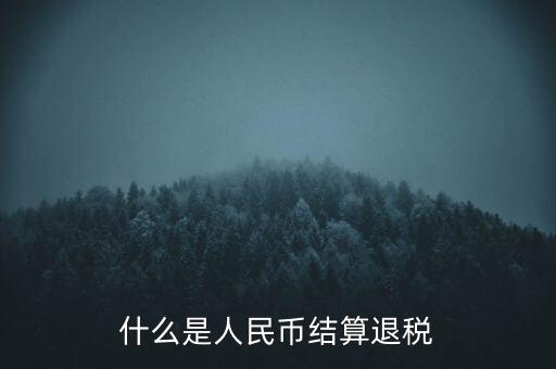 匯算結(jié)算退稅是什么，什么是人民幣結(jié)算退稅
