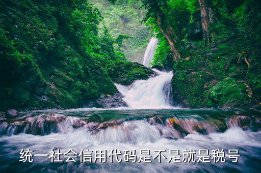 個(gè)人社會(huì)信用代碼是什么意思，深圳碼統(tǒng)一社會(huì)信用代碼是什么