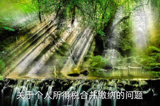 什么叫合并申報(bào)個(gè)稅，如何合并申報(bào)個(gè)人所得稅